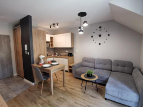 Apartament Turkusowy